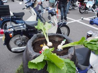 received_1357401047684676-1.jpg